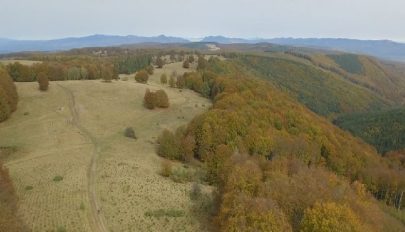 Közelebb a természethez