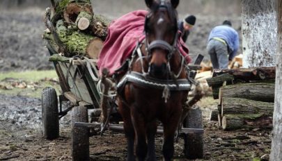 Fatolvajokat üldöztek a rendőrök