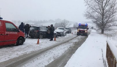 Kovászna megyében is szükség volt a katonai tűzoltók közbelépésére a havazás miatt