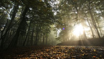 Országszerte lehűlés várható a következő két hétben