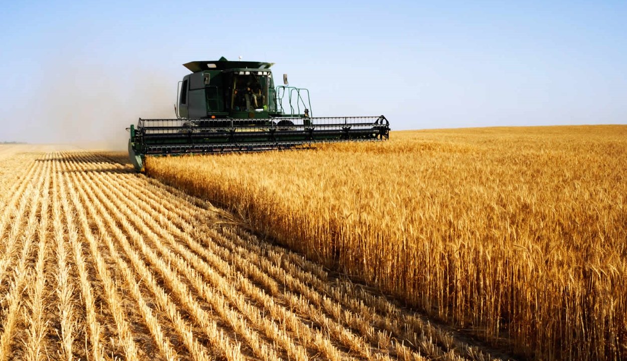 Több mint 12 millió tonna gabonát exportált Románia 2018-ban