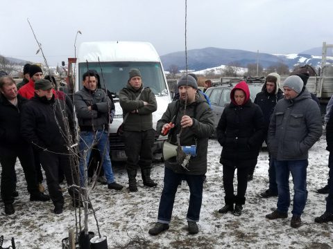 Gyorstalpaló hobbi-gyümölcstermesztőknek