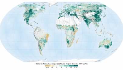 Sokkal zöldebbé vált a Föld az elmúlt húsz évben