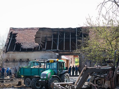 Kiégett egy traktor, állatok is odavesztek