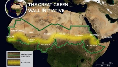 20 ország 7700 kilométeren építi a Nagy Zöld Falat