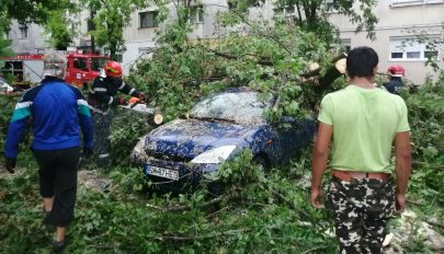 Országszerte több száz fát döntött ki, tetőket rongált meg a csütörtöki vihar