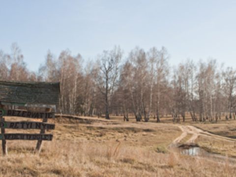 Felelőtlen „megcsapolás”