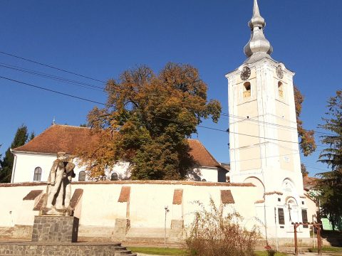 Összefogtak megmentésükért