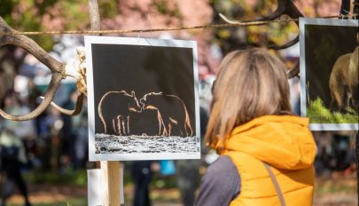 Egy évtizedes a Székelyföldi Vadásznapok