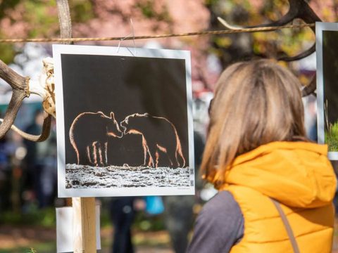 Egy évtizedes a Székelyföldi Vadásznapok