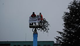 Klímaaktivisták megcsonkították Berlin karácsonyfáját