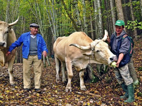 Ha ma derűs az idő, jó búza- és szénatermés várható