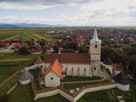 Új kutyamenhelyet terveznek Felső-Háromszéken