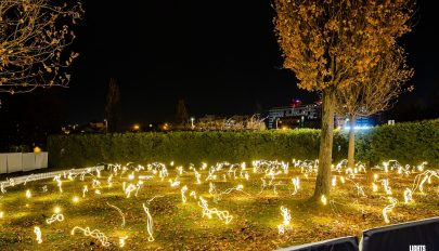 Mesés jelenség az Erzsébet-parkban – szentjánosbogár-rajzást utánzó fényinstallációt tesz közszemlére a város