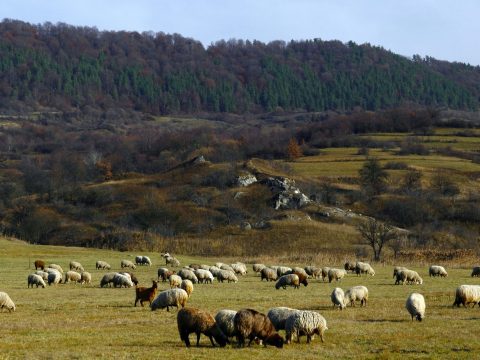 Egyed napjával beköszöntött az ősz