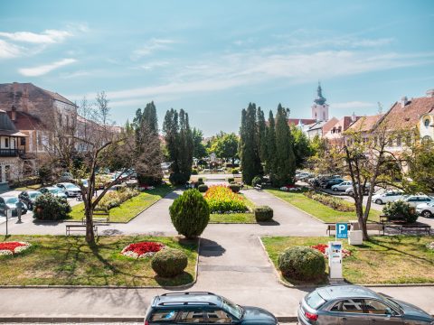 Pótolni fogják a főtérről kivágott magnóliákat