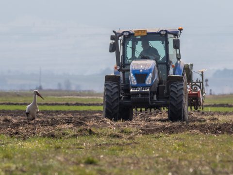 Jó évet zárt a háromszéki mezőgazdaság