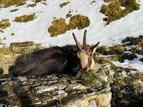 Nyakleves, de nem abból a fajtából, amit a lurkók kerülnek