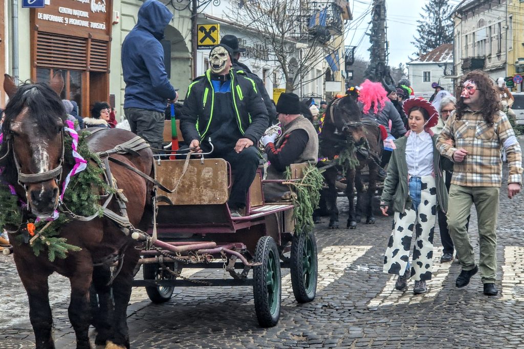 Fotó: Kocsis Károly