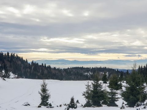 Olyan február is volt, amikor diónyira nőtt az alma