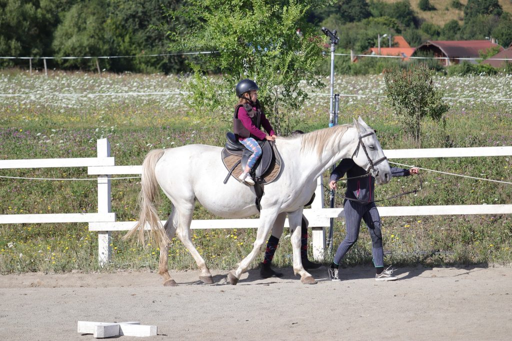 A lovas programok nagyon népszerűek a gyerekek körében. Fotó: Kovászna Megyei Cukorbeteg Gyerekek és Fiatalok Egyesülete