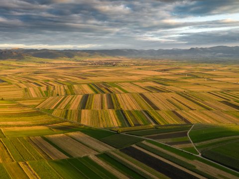 Az el nem számolt honoráriumoktól a jogtalan számlazárolásig