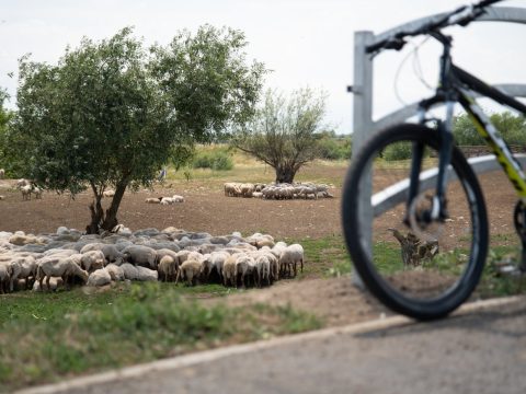 Juhnyáj foglalta el a sepsiszentgyörgyi kerékpárutat