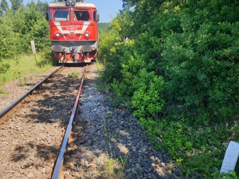 Áramütés miatt a sínek közé esett egy férfi Málnásnál, majd halálra gázolta a vonat