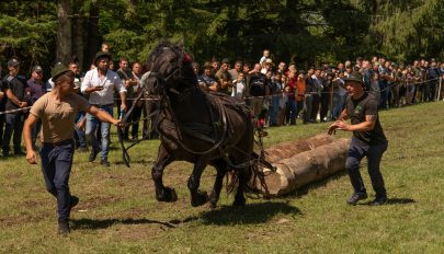 Láncfűrésszel faragják a virágtartókat