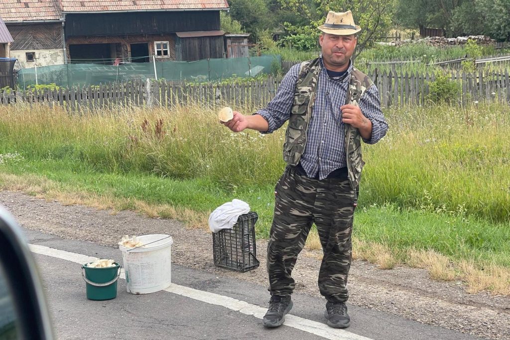 … akárcsak Lemhény végében. Fotó: Kocsis Károly