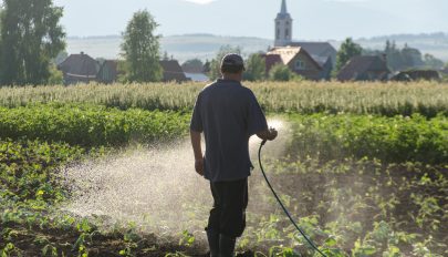 Az ivóvíz öntözésre való használata nemcsak felelőtlen, de káros is lehet a földeknek