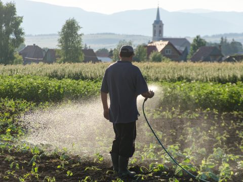 Az ivóvíz öntözésre való használata nemcsak felelőtlen, de káros is lehet a földeknek