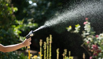 Az uborka fontosabb vagy a falusfelek? – ilyen dilemmákat is felvet a példa nélküli kánikula