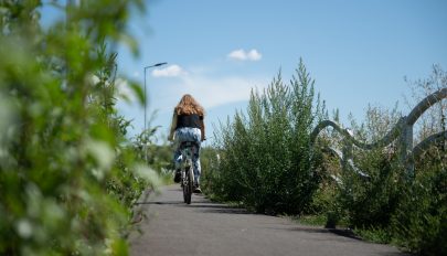 A kívántnál is „természetközelibb” élményt nyújt a sepsiszentgyörgyi új kerékpárút