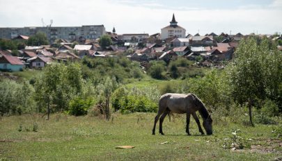 Felújított utak, rendezett zöldövezetek, meg egy kis lócitrom