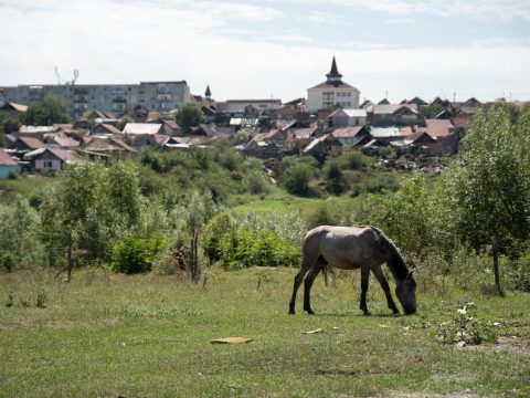 Felújított utak, rendezett zöldövezetek, meg egy kis lócitrom