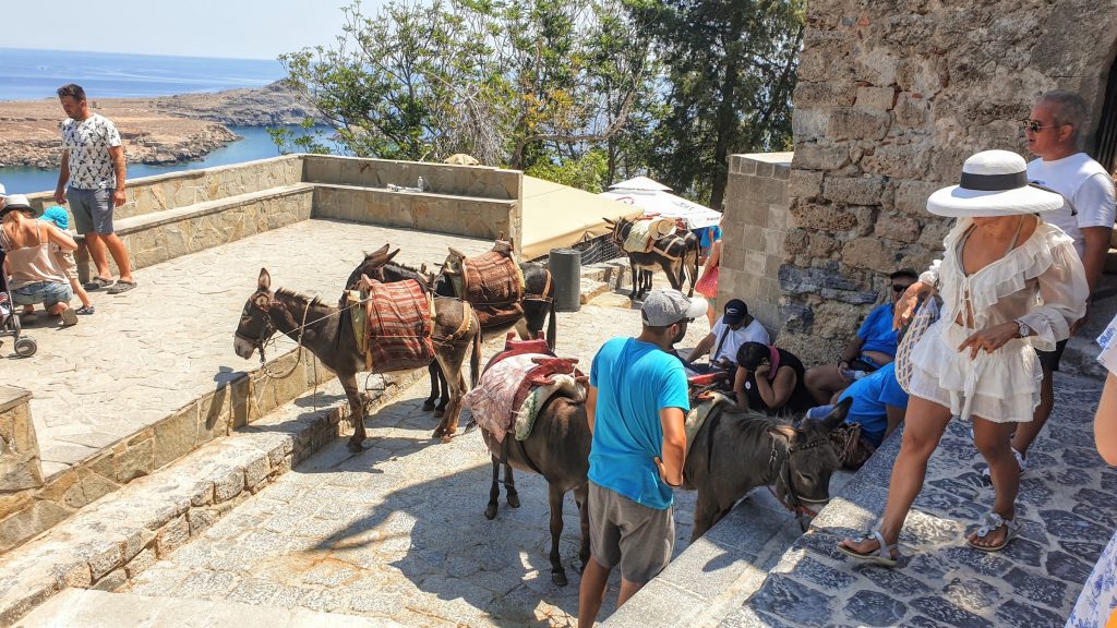 Lindos várába szamárháton is felmehetünk. Fotó: Kocsis Károly