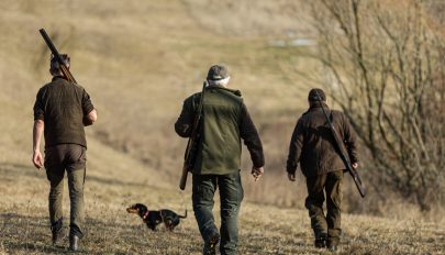 Kezdődhet a medvevadászat, megvannak a kilövési engedélyek