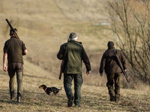 Ódzkodnak az illetékesek megadni az engedélyt a medve kilövésére