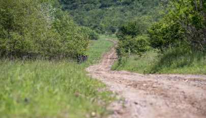 Nem tudni, mikor fogunk biciklizni a Réty-Sepsibükszád közötti bicikliúton