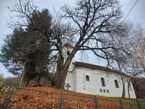 A templom körüli fák kivágásától tartanak Zalánpatakon