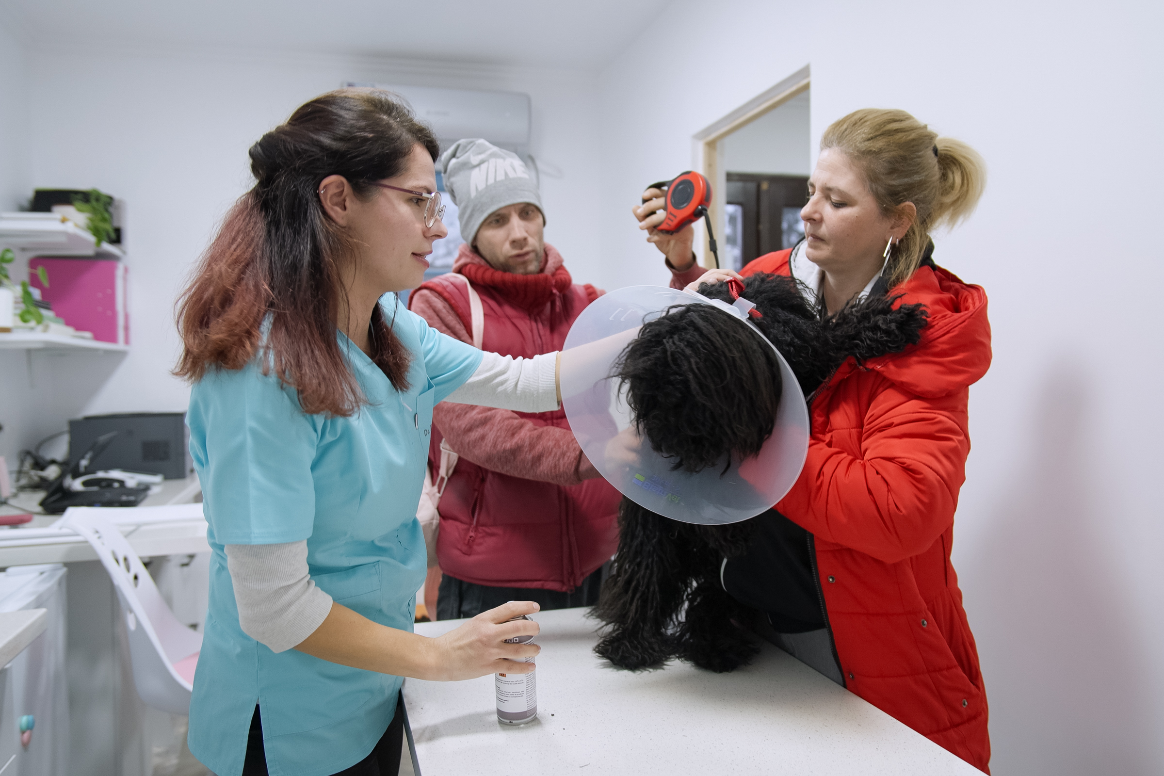 Szívvel-lélekkel dolgoznak azokért az állatokért is, akiket mások cserben hagytak