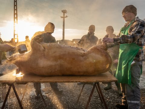 Csak óvatosan a háztáji hús fogyasztásával