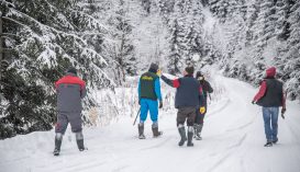 Elmagyarázzuk, miért jó az új erdészeti törvénykönyv