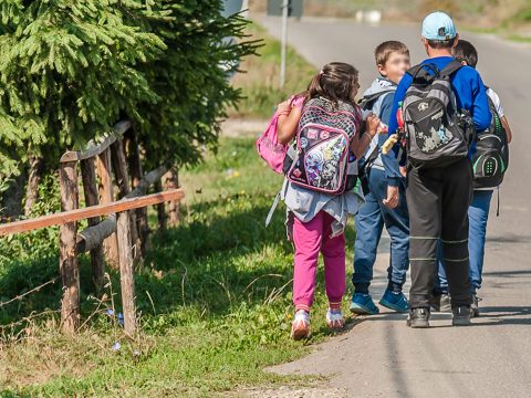 Kinek a hibája, ha a gyermekünket elgázolják a gyalogátjárón?