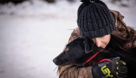 Száznál több kutya vár gazdára a szépmezői menhelyen, de jóval több van még az utcán