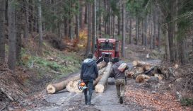 Háborognak a szakmai szervezetek, mert sok sebből vérzik az új erdészeti törvénykönyv